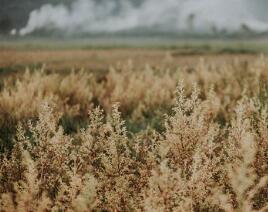 性生活過度有哪些危害，快看看吧