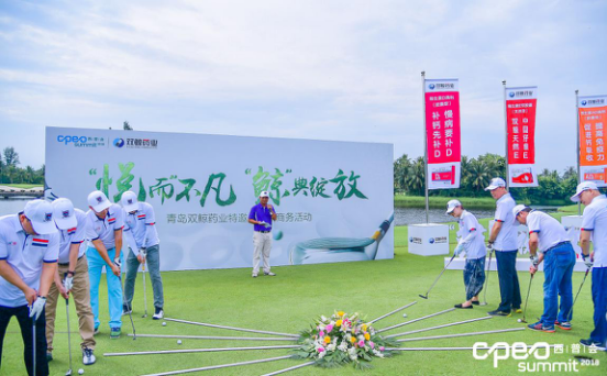 穿越“無人區”，“鲸”典綻放新十年