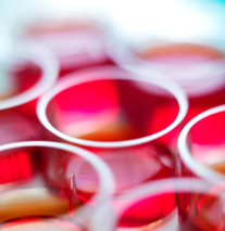 幹細胞療法進展如何?已進入哪一期研究? 幹細胞療法進展如何?已進入哪一期研究?