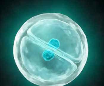 東方醫院幹細胞價格對比，哪家更實惠？