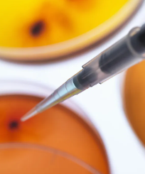 2016年幹細胞治療糖尿病效果如何？如何選擇最佳治療方案？