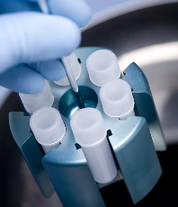 東北制藥在幹細胞研究領域有哪些突破? 東北制藥在幹細胞研究領域有哪些突破?