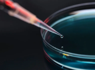 武威哪家幹細胞捐贈機構值得信賴?有何評價? 武威哪家幹細胞捐贈機構值得信賴?有何評價?