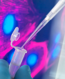 蝸米幹細胞抗衰技術靠譜嗎?有哪些效果? 蝸米幹細胞抗衰技術靠譜嗎?有哪些效果?