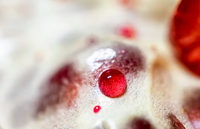 蘋果幹細胞美容面膜效果如何?用戶真實反饋! 蘋果幹細胞美容面膜效果如何?用戶真實反饋!