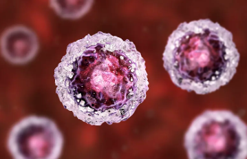 浦江人體幹細胞存儲哪家可靠？安全性與服務對比！