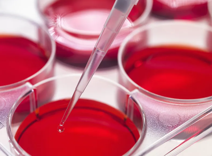 大連哪家幹細胞捐贈機構最可靠?如何聯系? 大連哪家幹細胞捐贈機構最可靠?如何聯系?