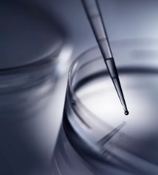 新鮮造血幹細胞處理流程是怎樣的？需要注意什麽？