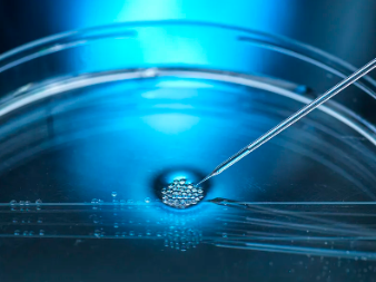 植物幹細胞美容功效是否真的顯著？