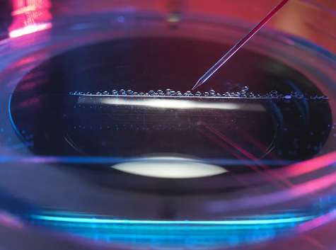 濰坊哪家幹細胞捐贈機構值得信賴? 濰坊哪家幹細胞捐贈機構值得信賴?