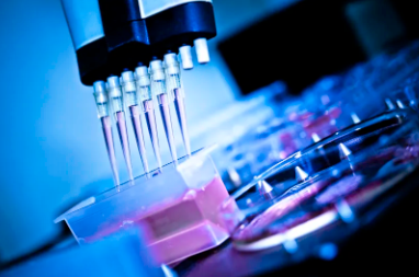 鹽城幹細胞市場價格報告及趨勢分析。