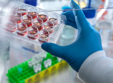 打幹細胞對腦出血偏癱患者有效果嗎,可信嗎? 打幹細胞對腦出血偏癱患者有效果嗎,可信嗎?