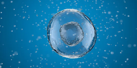 江蘇哪家機構提供優質的造血幹細胞存儲服務？