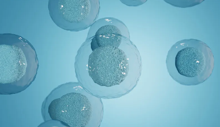 幹細胞研究流程是怎樣的？費用大概是多少？