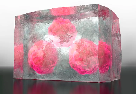 幹細胞最新突破消息有哪些？對醫學領域有何影響？