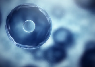 肝硬化幹細胞移植效果如何?與肝硬化治療有哪些關聯? 肝硬化幹細胞移植效果如何?與肝硬化治療有哪些關聯?