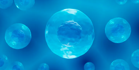 幹細胞療法修複脊髓損傷效果怎樣？