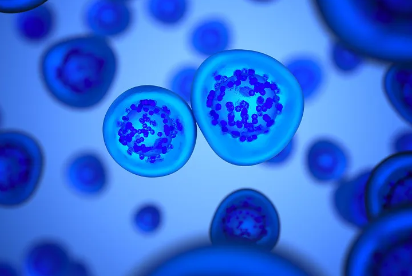 脊髓斷裂幹細胞移植費用貴嗎？如何申請？