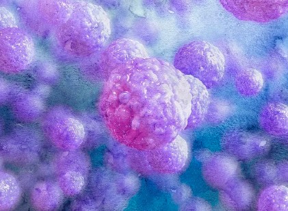 幹細胞移植抗衰老真的有效嗎?專家解答。 幹細胞移植抗衰老真的有效嗎?專家解答。