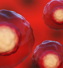 深圳權威幹細胞測試機構推薦與評價。