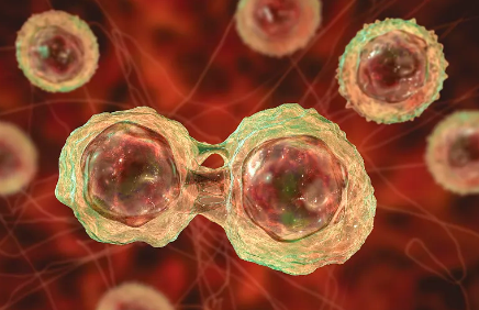 醫院打幹細胞一針多少錢？性價比分析。