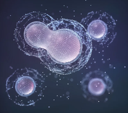 當前幹細胞研究領域有哪些突破？未來發展趨勢是什麽？