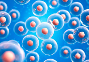 吉林哪家醫院擅長造血幹細胞治療? 吉林哪家醫院擅長造血幹細胞治療?