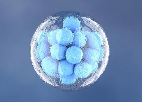 杭州免疫幹細胞如何發揮治療作用? 杭州免疫幹細胞如何發揮治療作用?