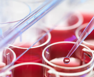 幹細胞療法對血液淨化有何幫助？