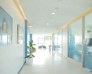 在泰國做第三代試管嬰兒的成功率如何