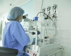 深圳第三代試管嬰兒成功率有多高呢