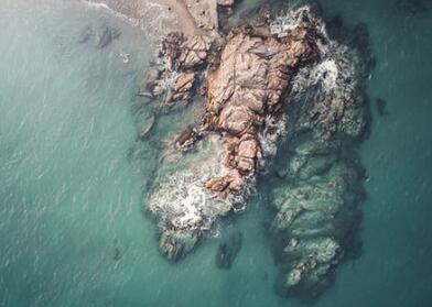 白癜風的成因是什麽?這些也要知道