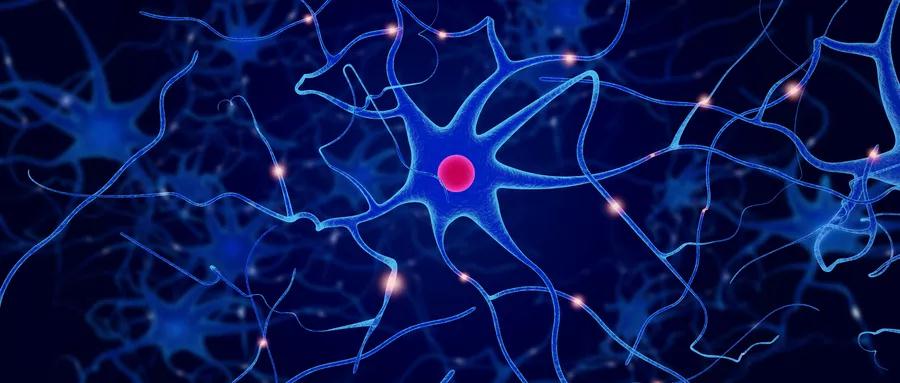 【健康指南】周圍神經損傷的治療與康複？早看早知道