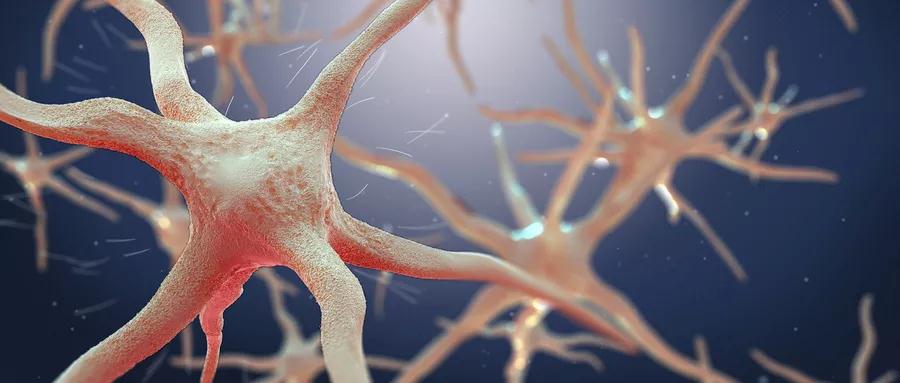 【健康指南】周圍神經損傷的治療與康複？早看早知道