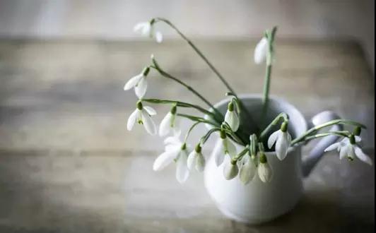 白癜風患者如何進行情緒調節？這些很重要