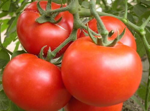 白癜風發病不要吃什麽?注意事項有哪些?