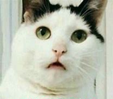 如何治療産後脫發比較好？