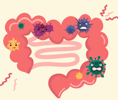 秋冬“養生先養腸”,腸道不好怎麽調理?