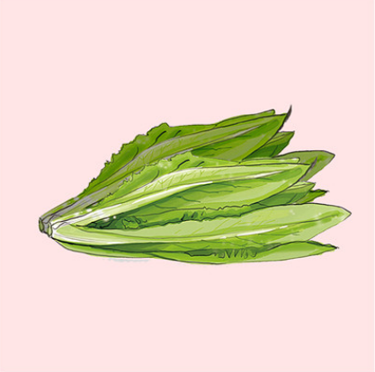 塞來昔布與雙氯芬酸鈉緩釋膠囊哪一個好?成分一樣嗎?