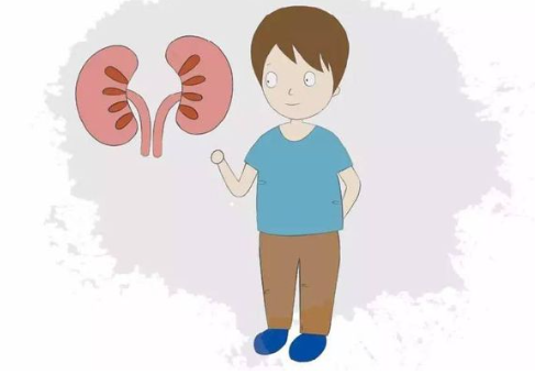 河南哪家醫院治療慢性腎衰竭比較好，河南治療腎衰竭好的醫院