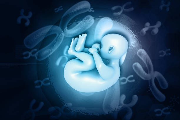 甘肅哪個醫院做試管成功率高成本降低方法？甘肅哪個醫院做試管成功率高問題解答