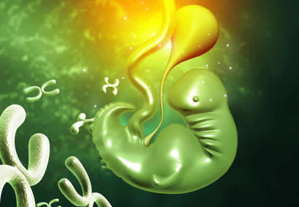 國内三代試管醫院有哪些最新技術進展-國内三代試管醫院在行業内的地位