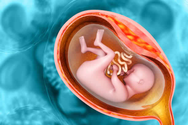 怎樣提升三代試管世界排行成功率-三代試管世界排行常見問題的解答