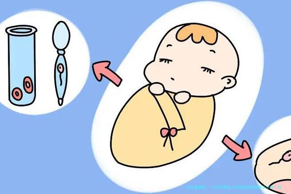 親密關系中的聲音密碼：當代男性情感偏好調查報告