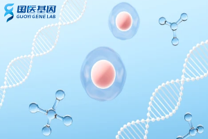 渭南10家親子鑒定中心（附2025年鑒定機構地址）