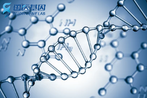 分享！伊春專業常規親子鑒定費用标準一覽表（具體費用标準2025年度已更新）