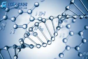 分享！伊春專業常規親子鑒定費用标準一覽表（具體費用标準2025年度已更新）