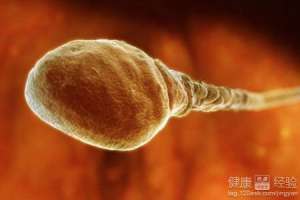 深度解讀幫助男人遠離不育