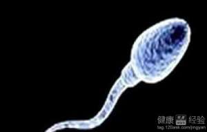 男性精子也有抗體産生？