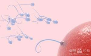 男性不育與職業有什麽關系